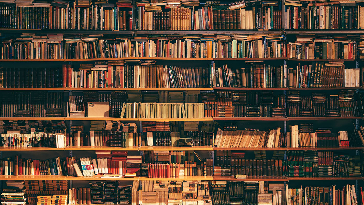 photo of library shelves and books